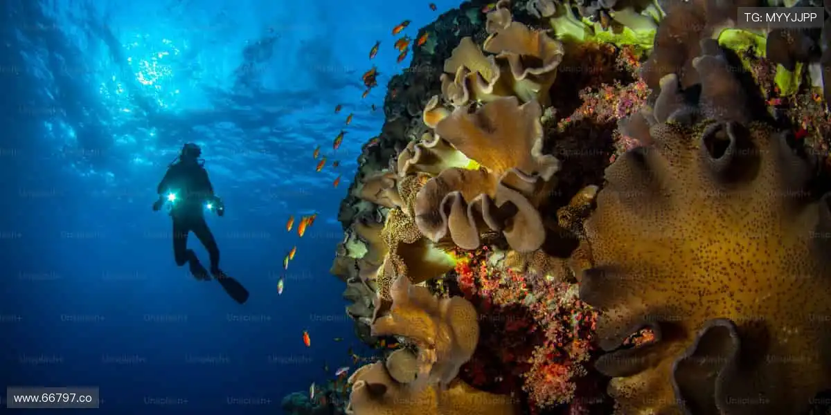 速度与激情，一键开启！🏃